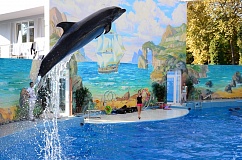 Сочинский дельфинарий парка Ривьера